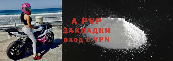 стаф Абинск