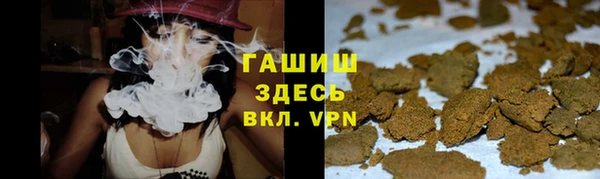 стаф Абинск