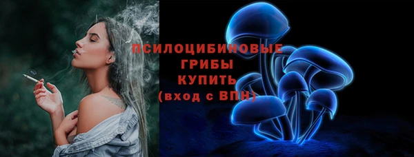 стаф Абинск