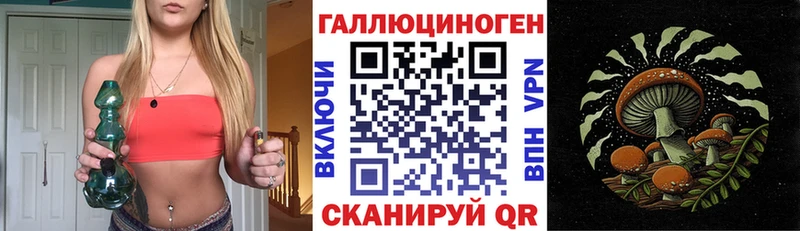 наркошоп  Туапсе  МЕГА   Галлюциногенные грибы мицелий 
